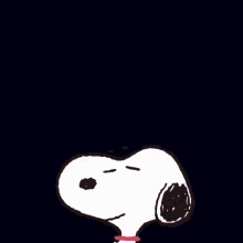 thank-you-thanks.gif