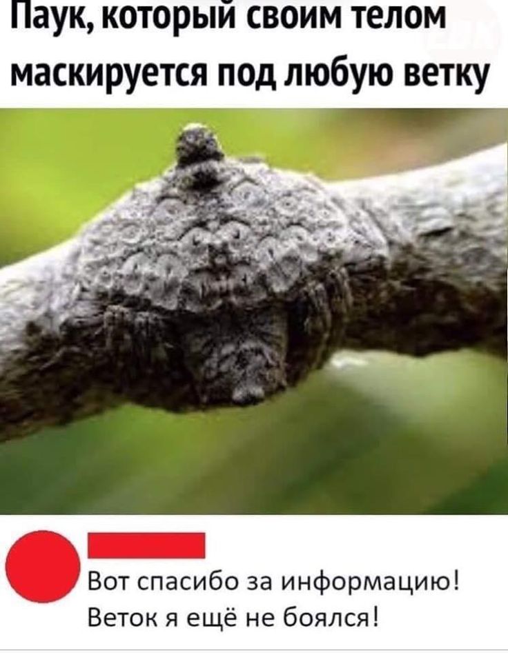 Udjj4.jpg.jpeg