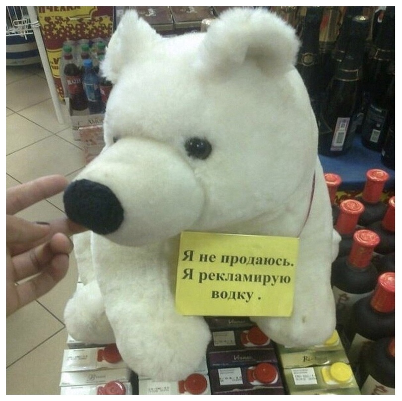 %D1%80%D0%B5%D0%BA%D0%BB%D0%B0%D0%BC%D0%B0-%D0%BF%D0%BB%D1%8E%D1%88%D0%B5%D0%B2%D1%8B%D0%B9-%D0%BC%D0%B8%D1%88%D0%BA%D0%B0-%D0%B.jpeg