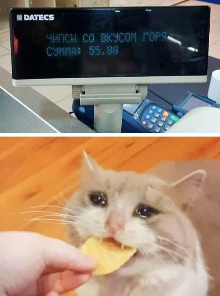 05479694.jpg.jpeg
