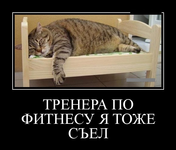 1567334868_2.jpg.jpeg