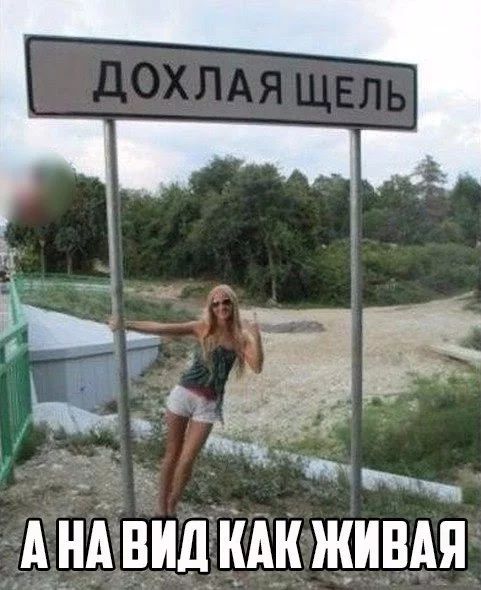 1638cce19c46e301389ad2d848f0e604.jpg.jpeg