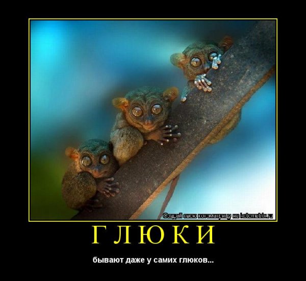 1648727173_1-kartinkof-club-p-kartinki-smeshnie-glyuki-1.jpg.jpeg