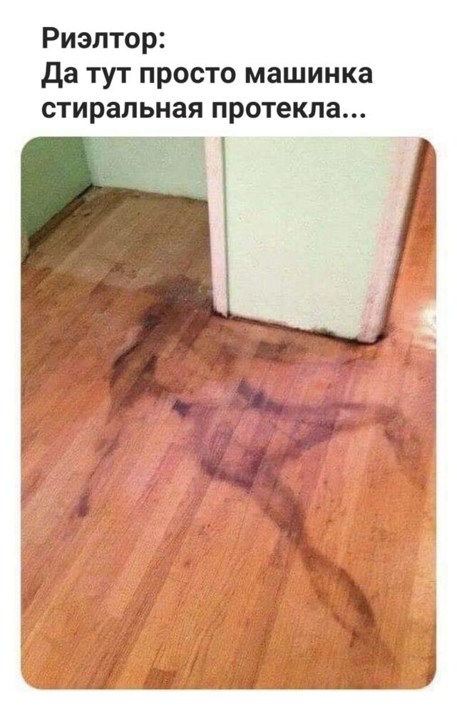 1662144619195920026.jpg.jpeg