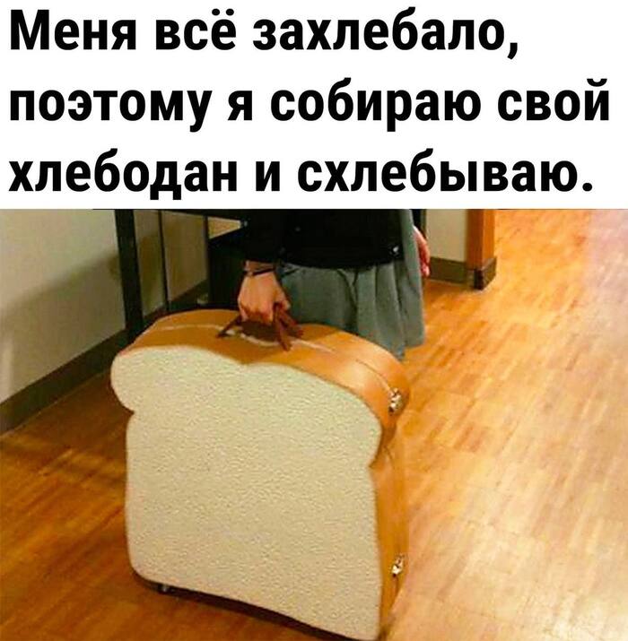 1663667846155690813.jpg.jpeg