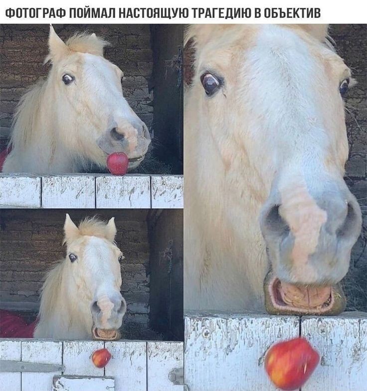 166807526319482537.jpg.jpeg