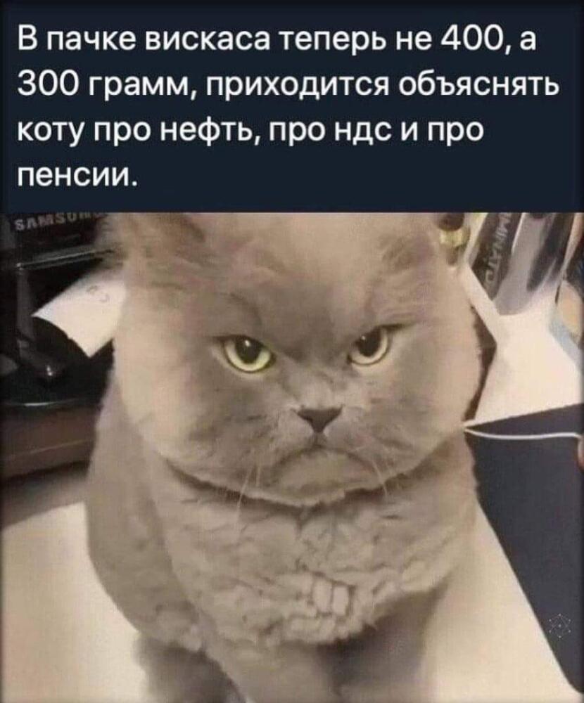 1669181464174566826.jpg.jpeg