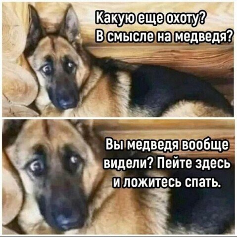 1669400348116966974.jpg.jpeg