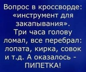 26-11-2022-231259.jpg.jpeg