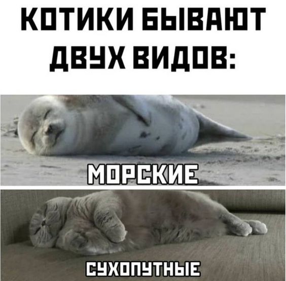 272373295350671139.jpg.jpeg