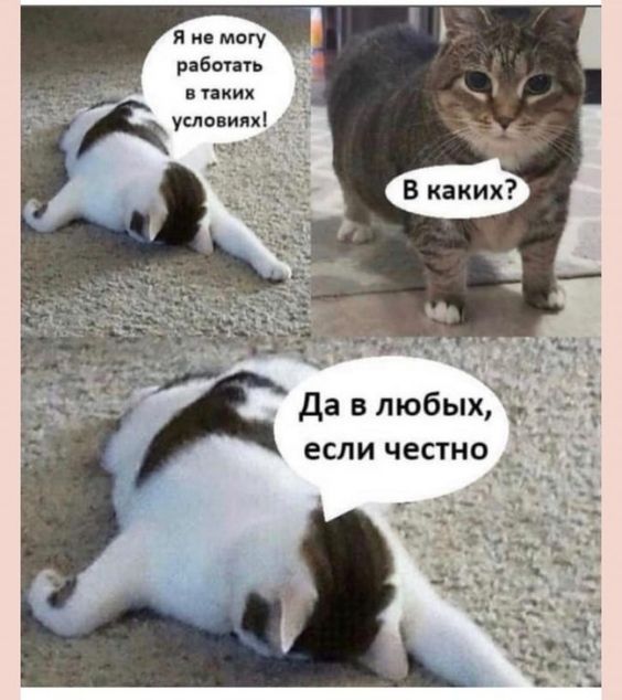 415409492562461746.jpg.jpeg