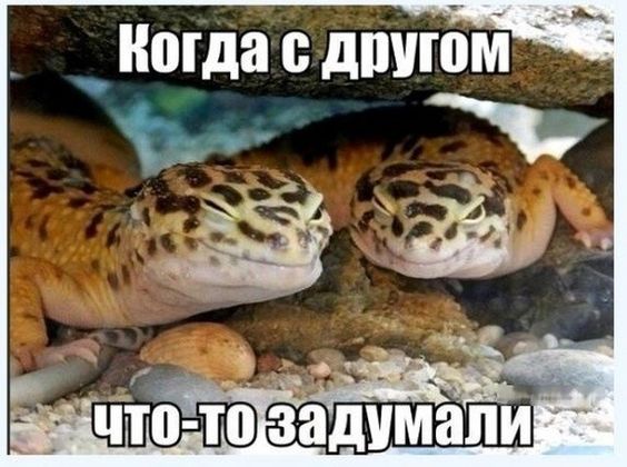465675948222360.jpg.jpeg