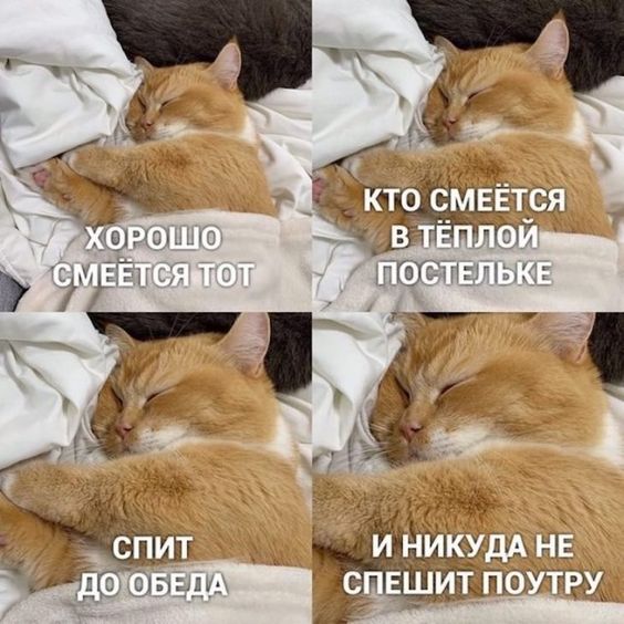 48939572427576592.jpg.jpeg