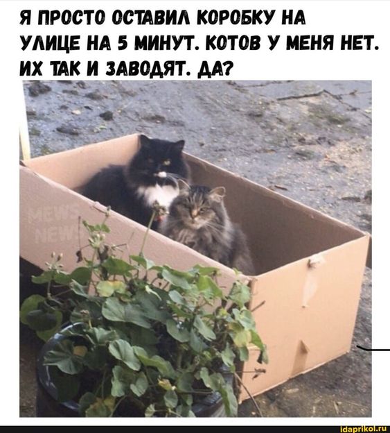 560828574601480058.jpg.jpeg