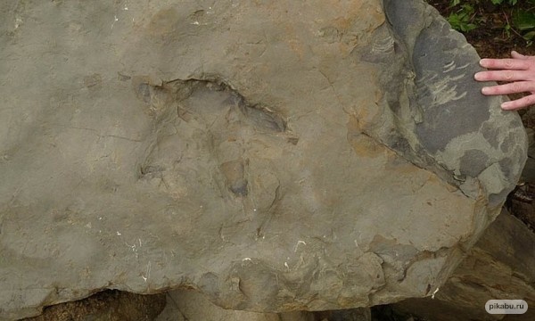 59ca0eac-1350-4c65-a7a8-59c5a9e12506.jpg.jpeg