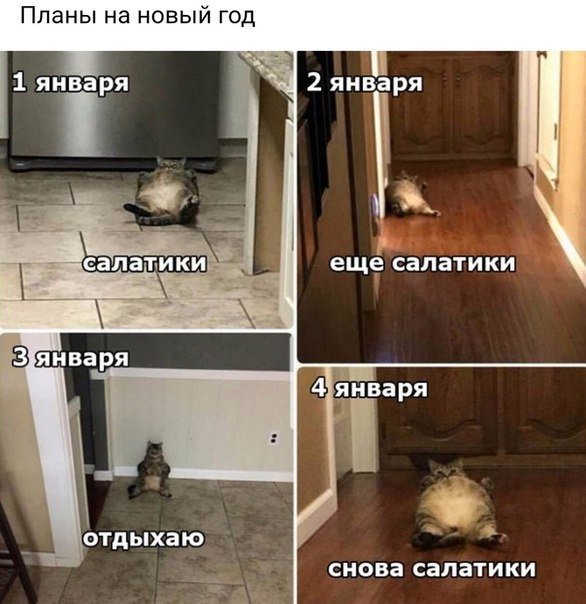 5qIHfP-hoSo.jpg.jpeg