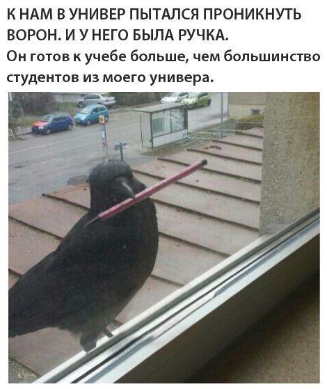 711659407214440418.jpg.jpeg