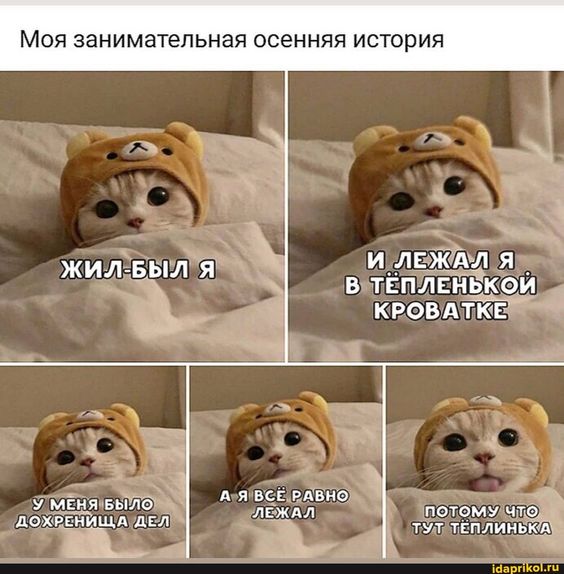 929157244861973862.jpg.jpeg