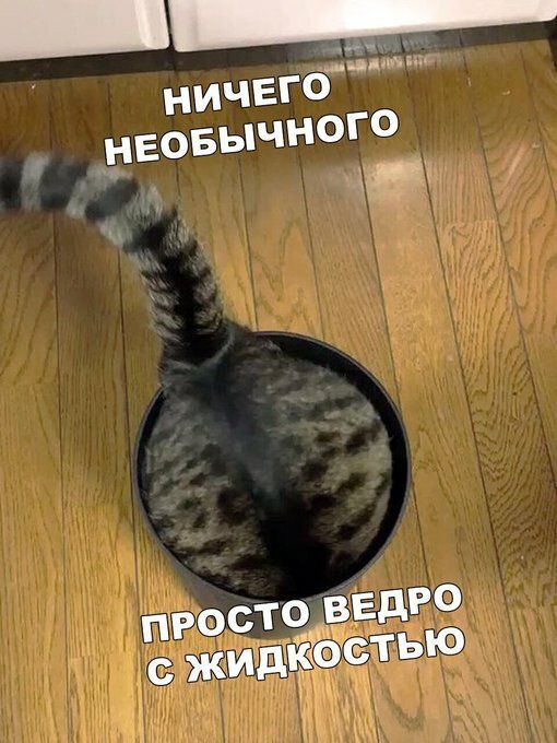 9ebcd9f3fac1de622ecff6dc2007e74f.jpg.jpeg