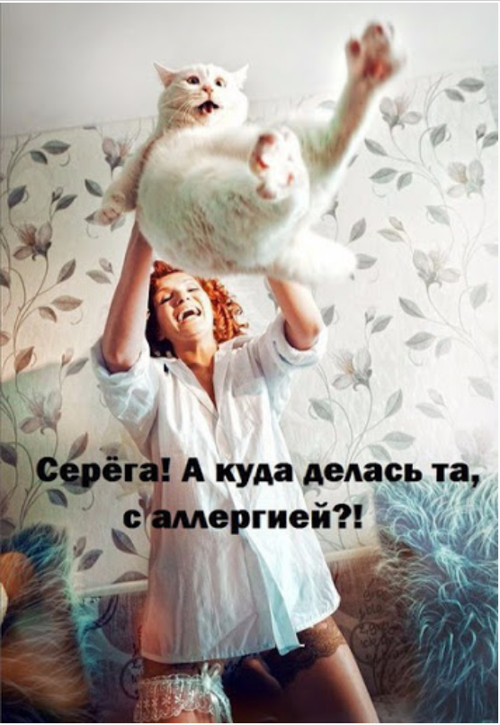 b4755de91163fb18a345c752e32849b9.png.webp.png