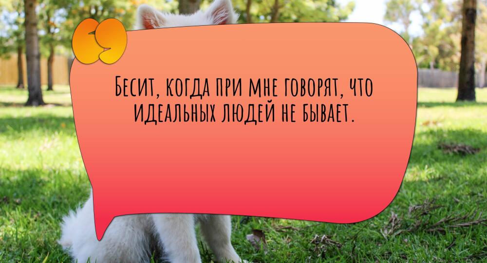 besit-kogda-pri-mne-govoryat-chto-idealnih-lyudey-ne-bivaet-horizontal.jpg.jpeg