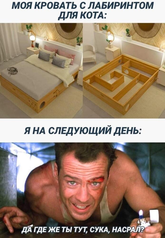 EIa6s_Fz38k.jpg.jpeg