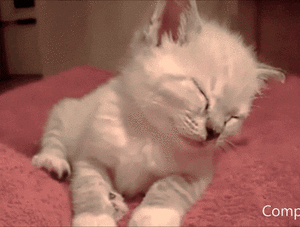 fmTkUFltiFKtrcg4le79LgG0kx3odWd_3QqdAJ6Rp4Fy4zIKmlC7sg==.gif