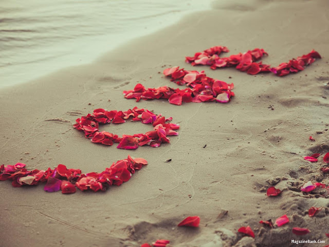 Free Love HD Images and Love Wallpapers (High Definition) Free Download.jpg.jpeg