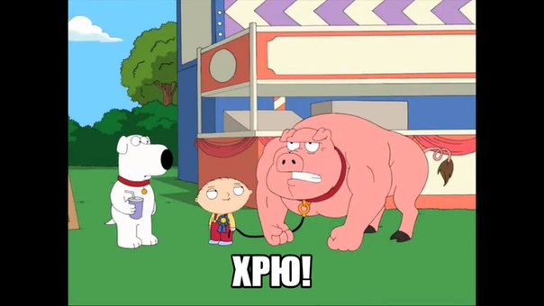 GkqKgQKqGUM.jpg.jpeg