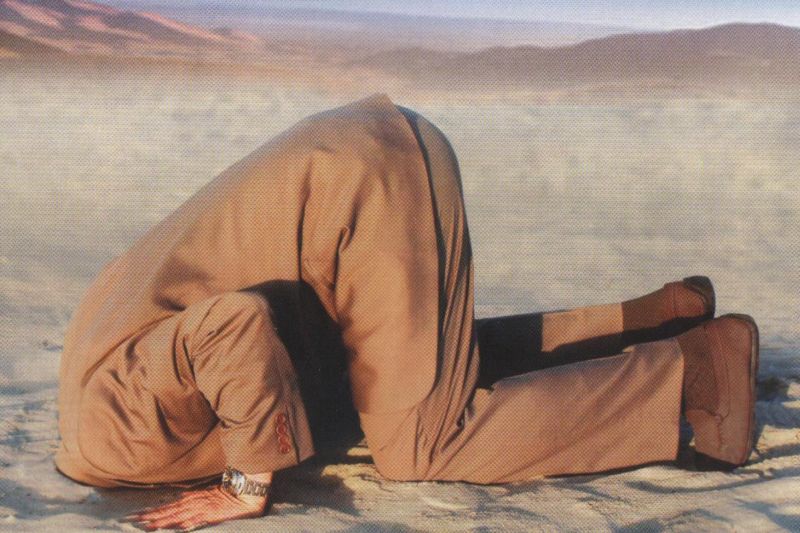 HEAD-IN-SAND.jpg.jpeg