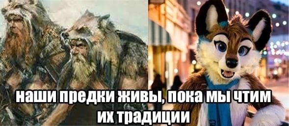 jpg.jpeg