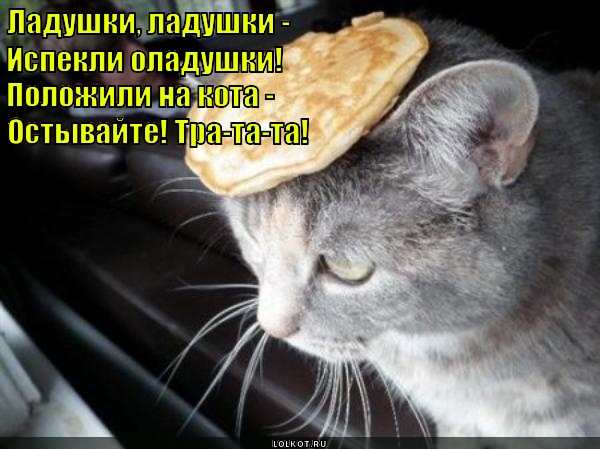 oladushkovyy-ostudilnik_1439971166.jpg.jpeg