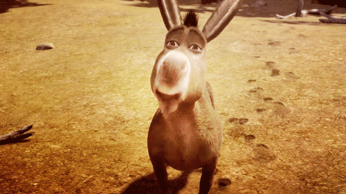shrek26.gif