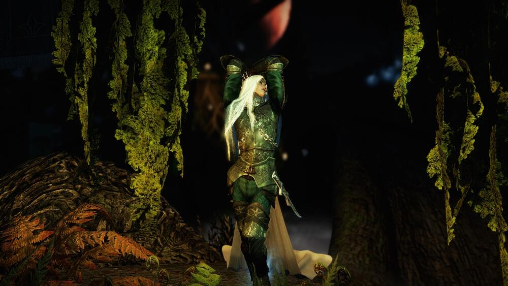 SKYRIM-2022-11-12-23-56-13-54.jpg.jpeg