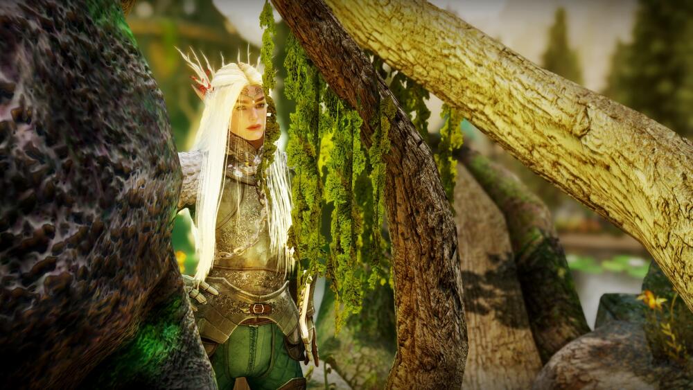 SKYRIM-2022-11-13-02-16-09-90.jpg.jpeg