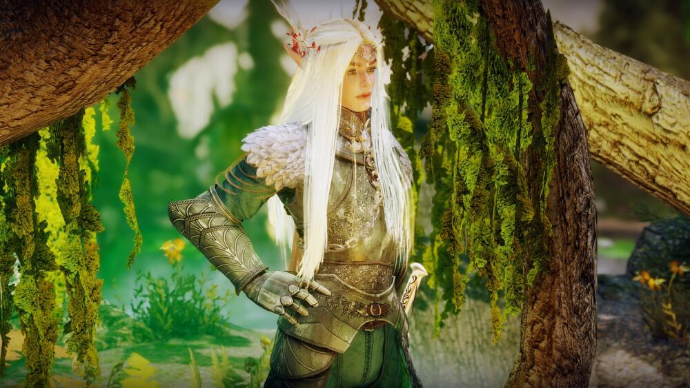 SKYRIM-2022-11-13-02-16-16-36.jpg.jpeg