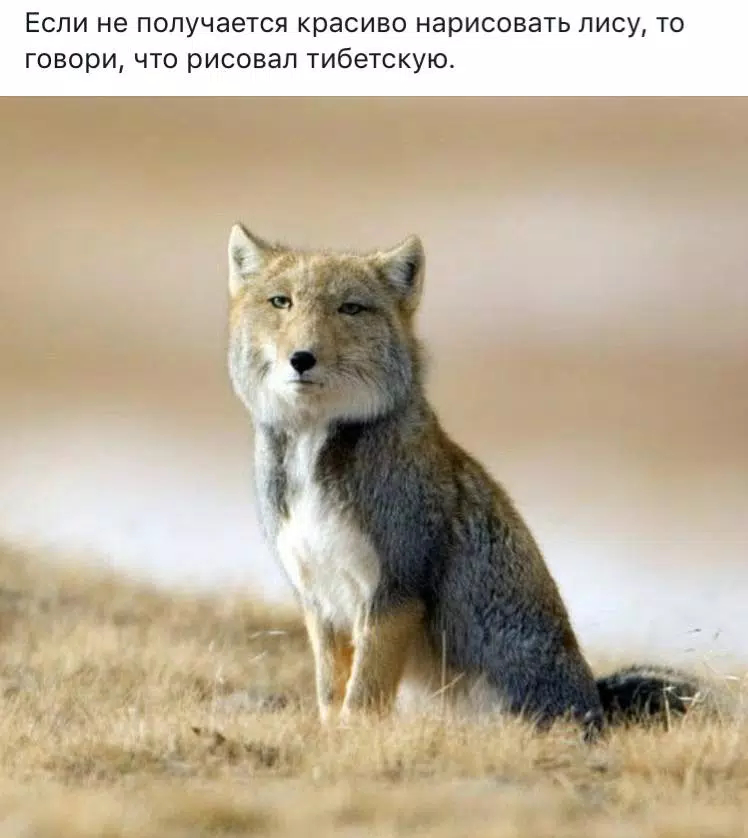 UoS2v.jpg.jpeg