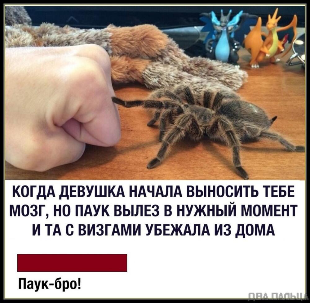 VAcvc.jpg.jpeg
