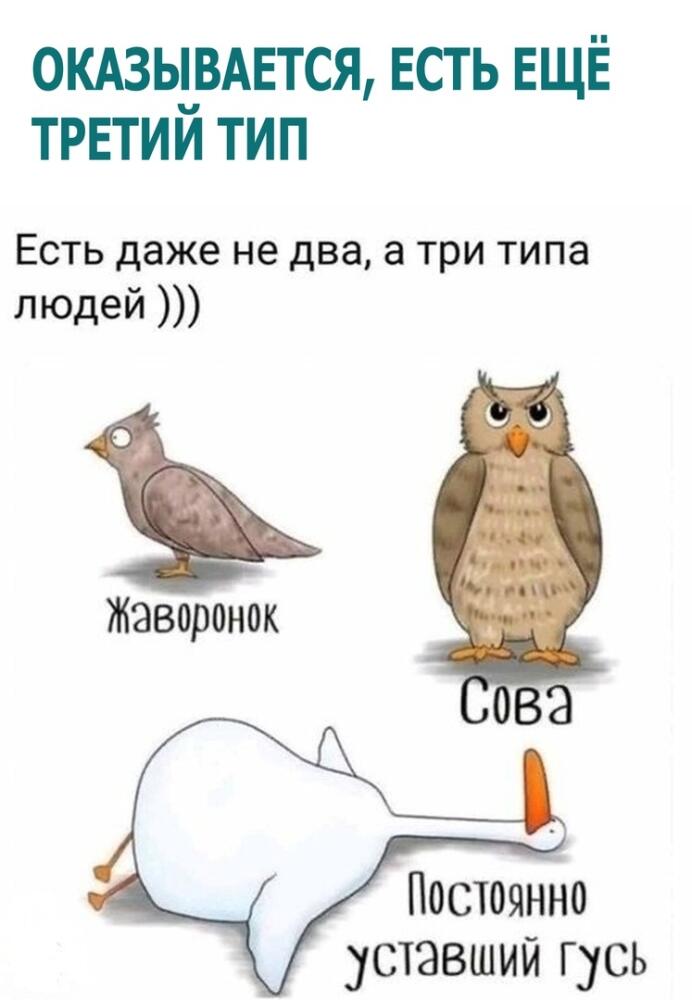 yVAtU-YGPow.jpg.jpeg