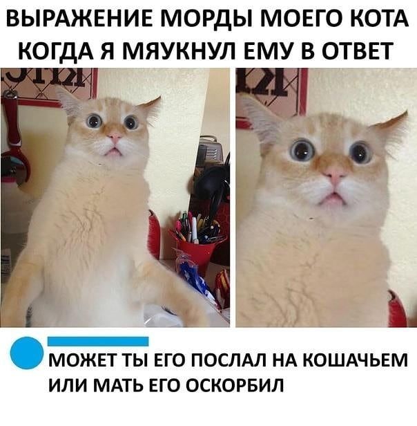 1597519100.jpg.jpeg