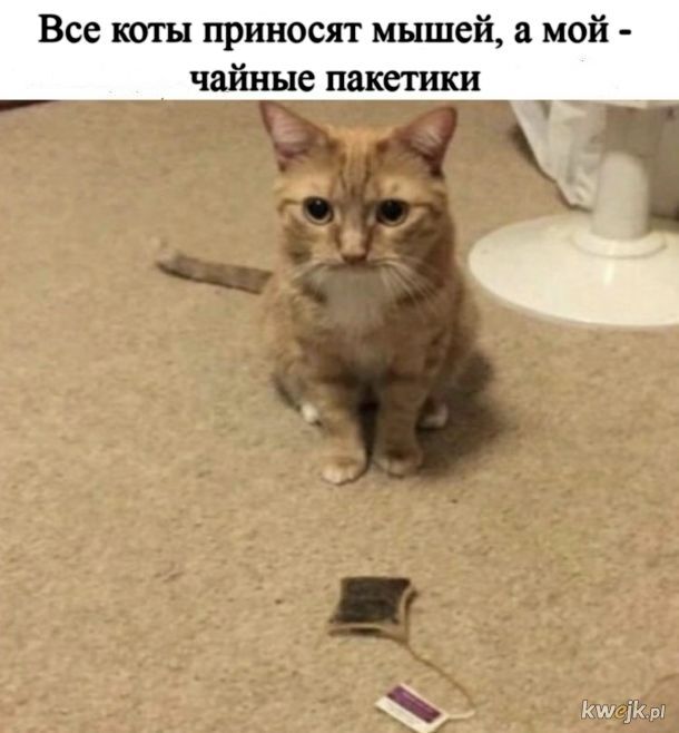 1605567000.jpg.jpeg