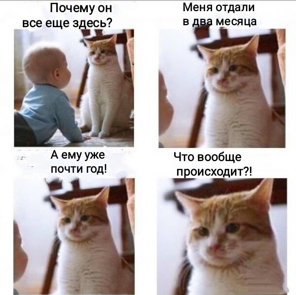 1607380017.jpg.jpeg