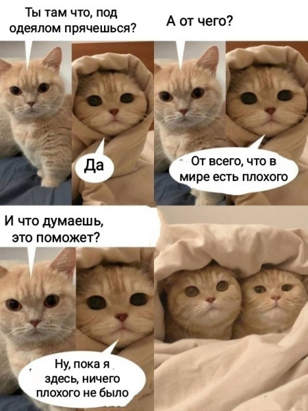 1619127250.jpg.jpeg
