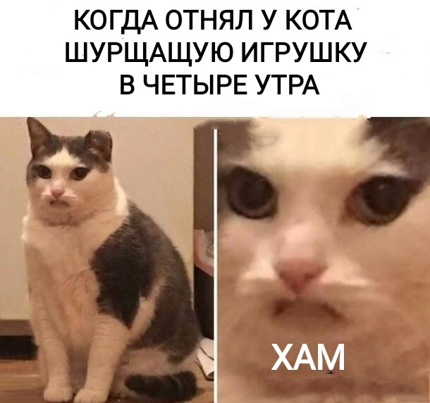 1619362136.jpg.jpeg