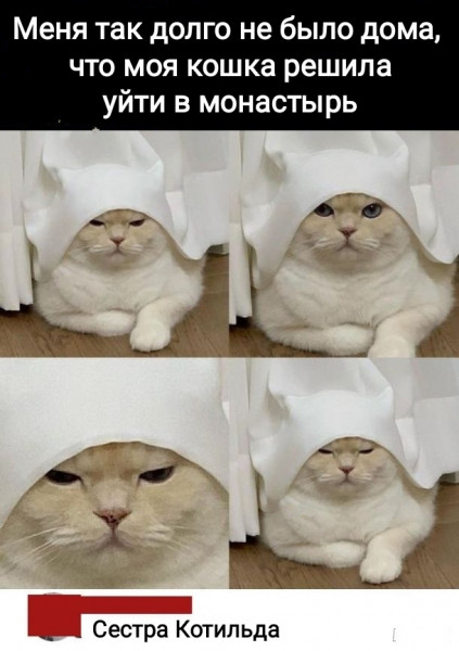 1619444784.jpg.jpeg