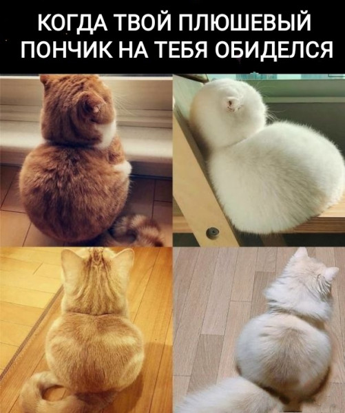 1627399567.jpg.jpeg