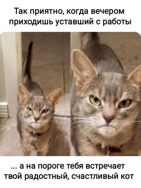 1642787883.jpg.jpeg