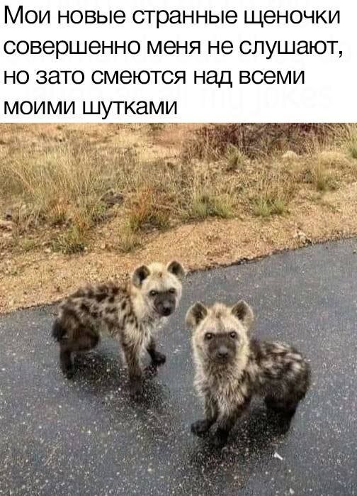 1656791236135382773.jpg.jpeg