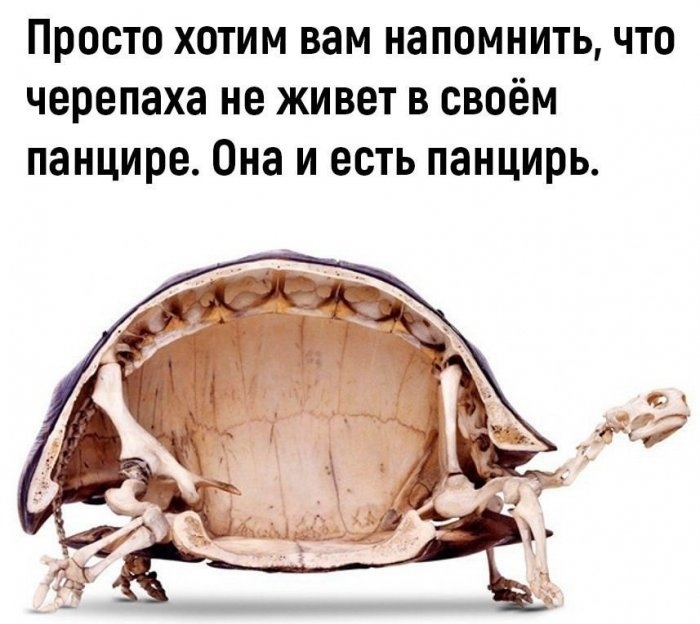 1670525237120127335.jpg.jpeg