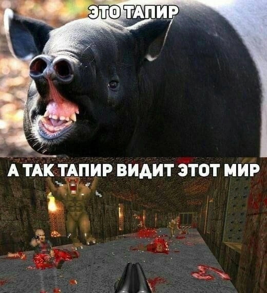 1671036458291068621.jpg.jpeg